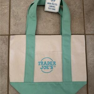 Mint Green Mini Canvas Tote Bag